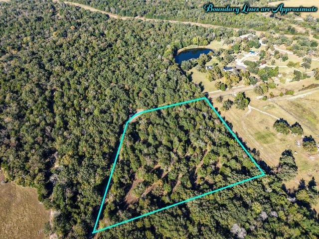 Land for sale in Teague, Texas