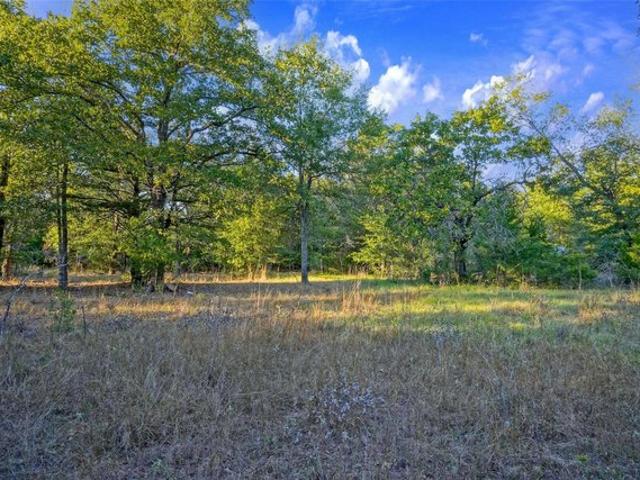 Land for sale in Teague, Texas
