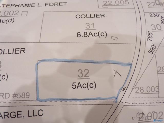 Land for sale in Town Creek, Alabama