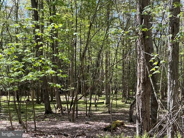 Land for sale in Garrett, Maryland