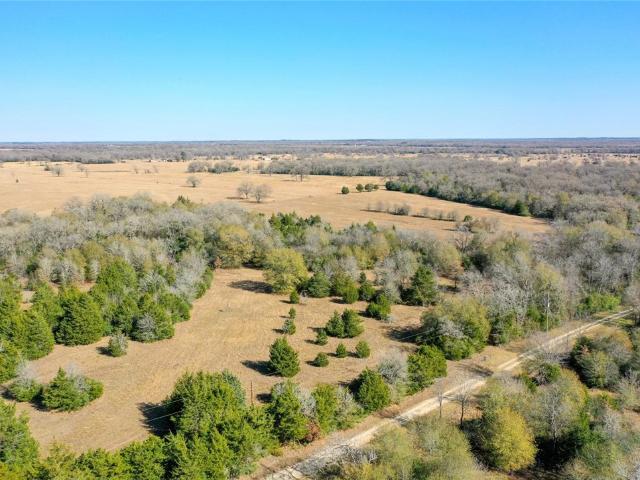 Land for sale in Madisonville, Texas