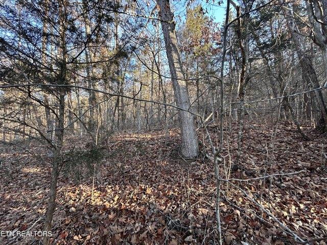 Land for sale in Tennessee