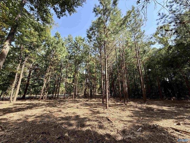 Land for sale in Etowah, Alabama