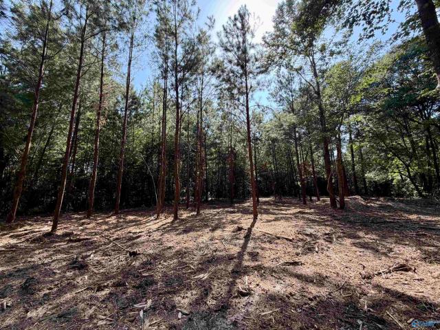 Land for sale in Etowah, Alabama