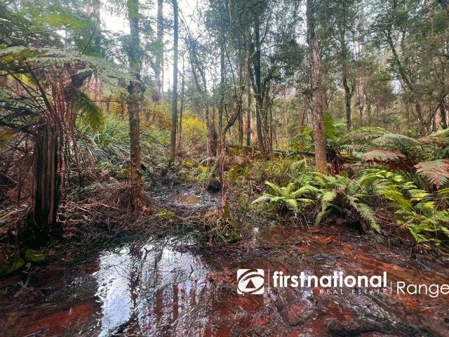 Land for sale in Camerons Creek, Victoria