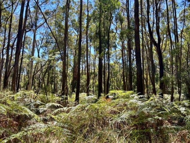 Land for sale in Trentham, Victoria