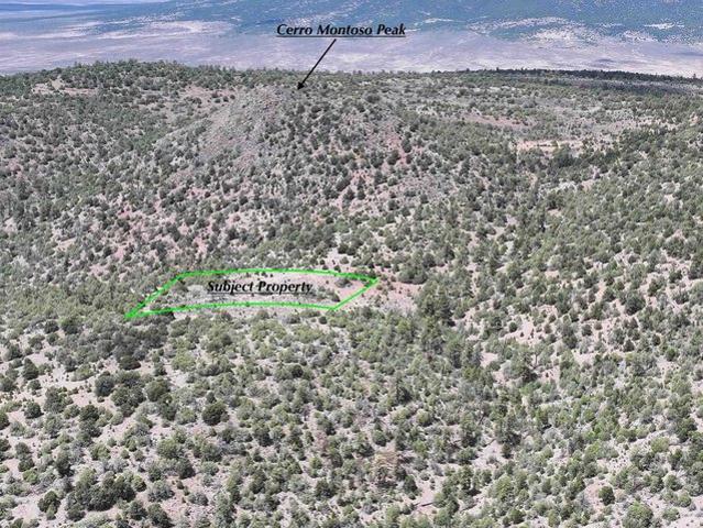 Land for sale in Arroyo Hondo, New Mexico
