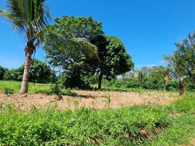 Land for sale
