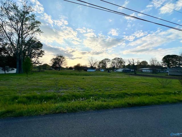 Land for sale in Danville, Alabama