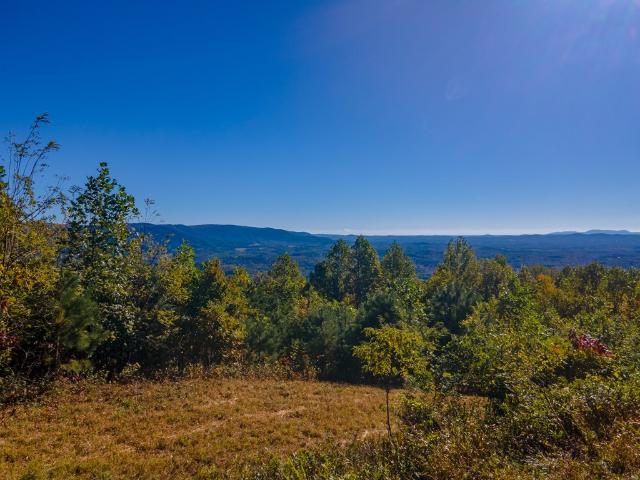 Land for sale in Virginia