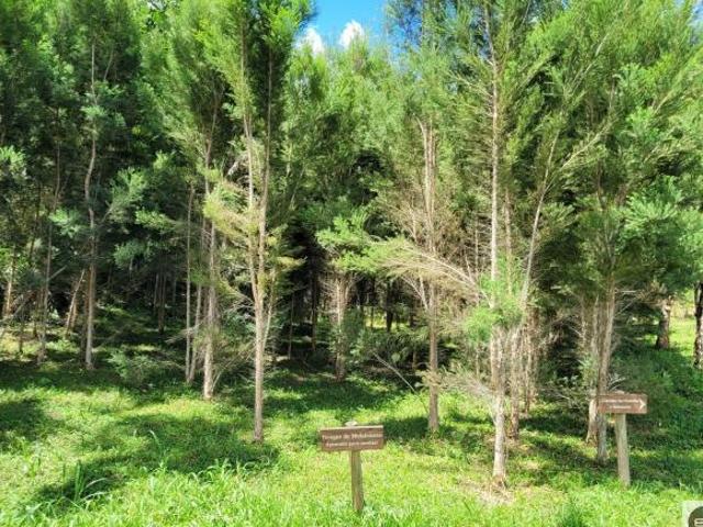 Sítio e chácara venda em Região Imediata de São José dos Campos, Região Metropolitana do Vale do Paraíba e Litoral Norte