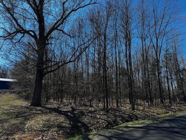 Land for sale in Cadiz, Kentucky