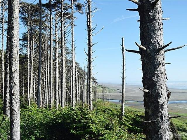 Land for sale in Moclips, Washington