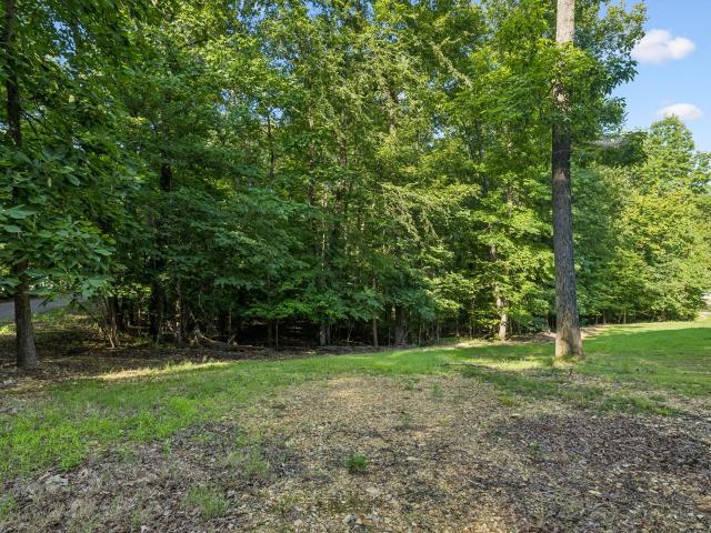 Land for sale in Tennessee