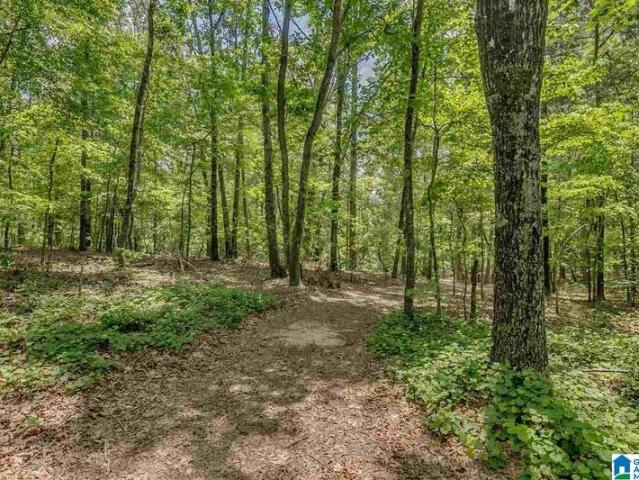 Land for sale in Birmingham Land for sale in Birmingham