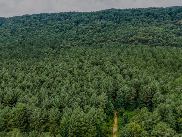 Land for sale in Lyerly, Georgia