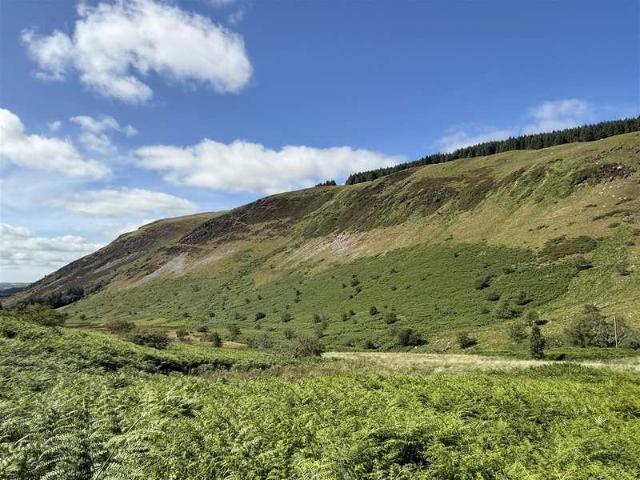 House for sale in Tregaron