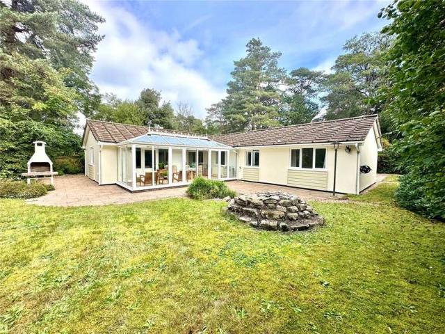 Bungalow for sale in St Ives, East Dorset