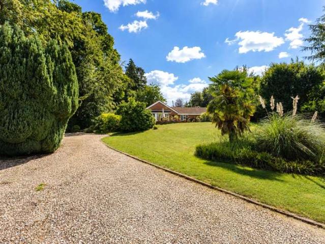 Bungalow for sale in Bolton Low Houses, Hampshire