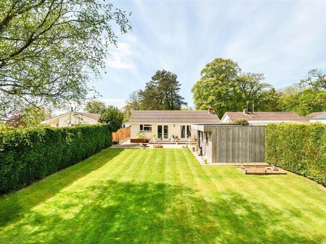 Bungalow for sale in Newton St Cyres, Devon