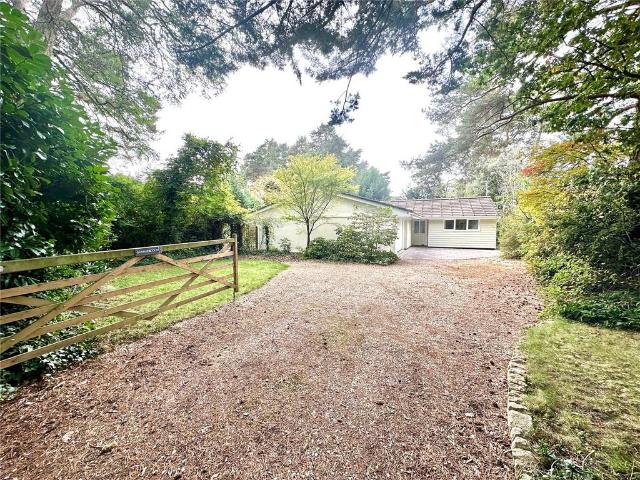 Bungalow for sale in St Ives, East Dorset