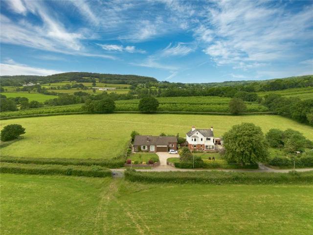 Bungalow for sale in Whitehall, Newton St Cyres