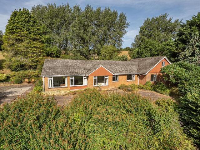 Bungalow for sale in Newton St Cyres, Devon