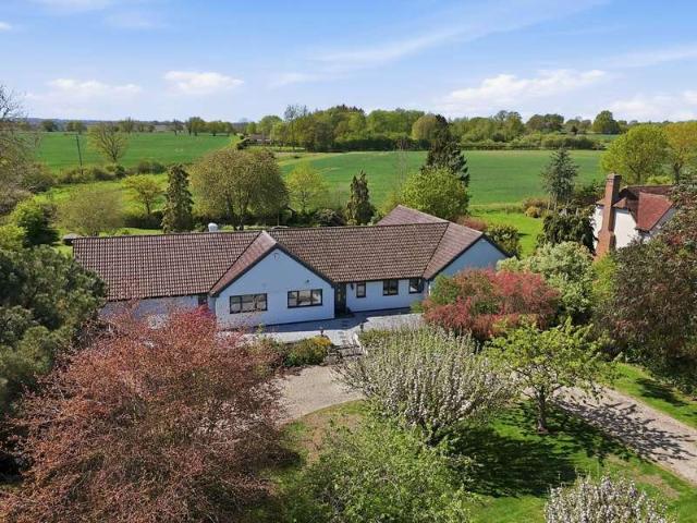 Bungalow for sale in Duton Hill, Essex