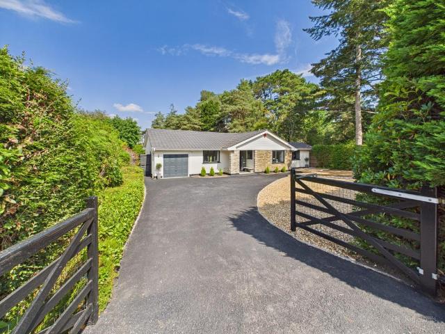 Bungalow for sale in St Ives, East Dorset
