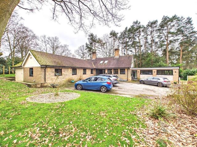 Bungalow for sale in Ashley Heath, Butterton