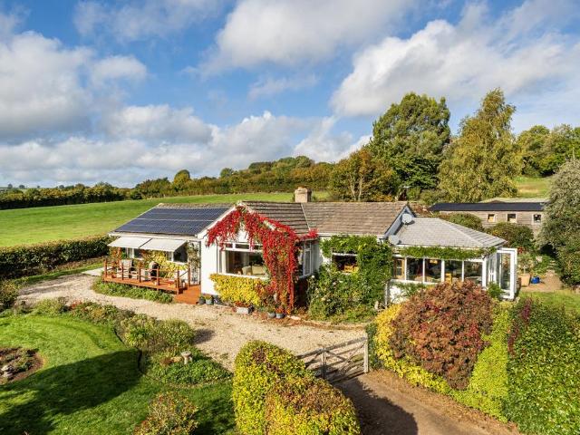 Bungalow for sale in Wadeford, Combe St Nicholas