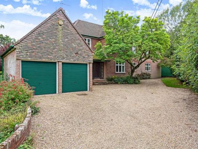 Farm for sale