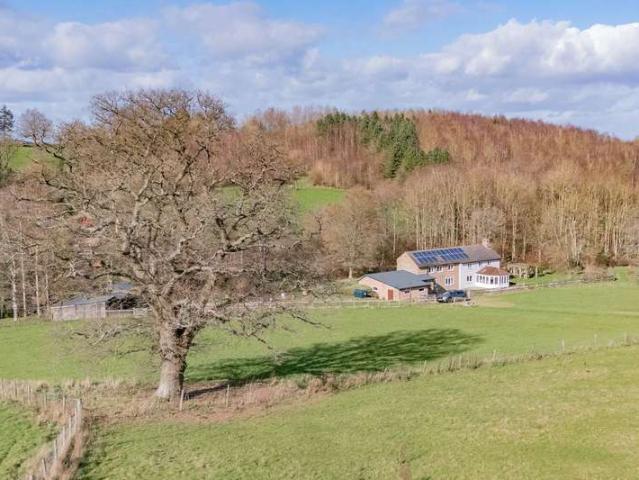 Farm for sale