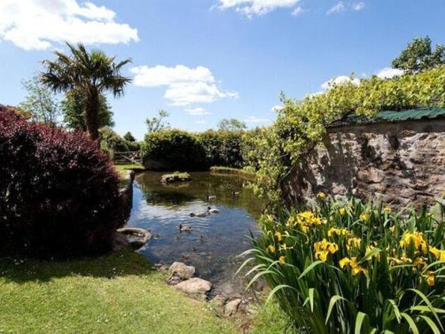 Farm for rent in Strode, Devon