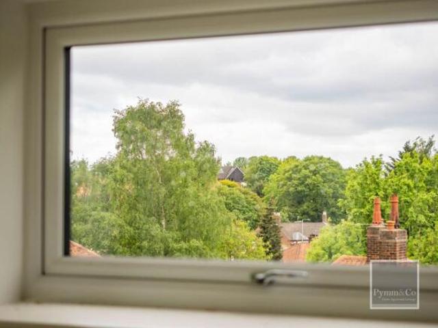 Farm for rent in New Catton, East Bank