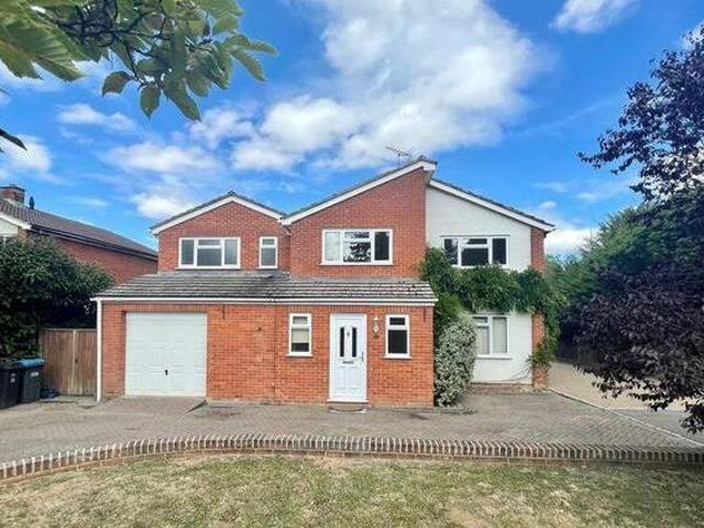 House for rent