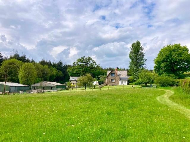 House for sale in Brandis Corner, Devon