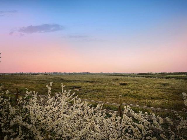 House for sale in Dale Hill, Essex