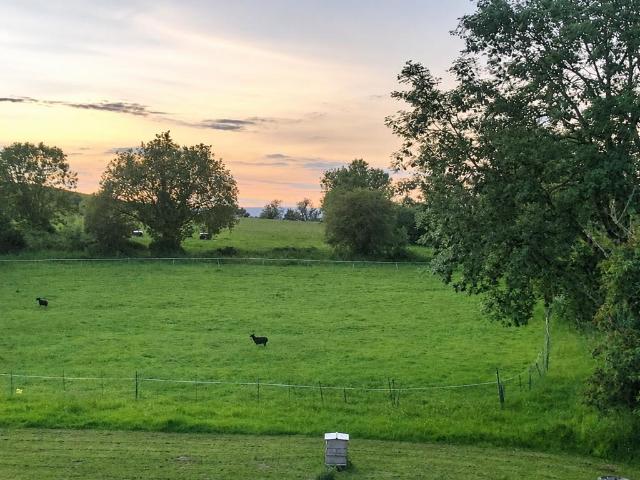 House for sale in Baltonsborough