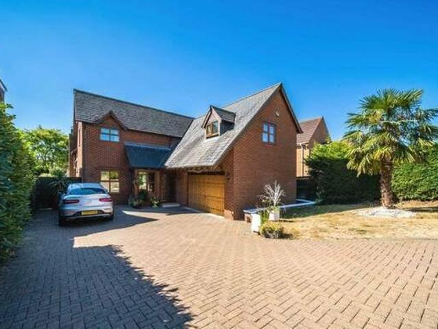House for rent