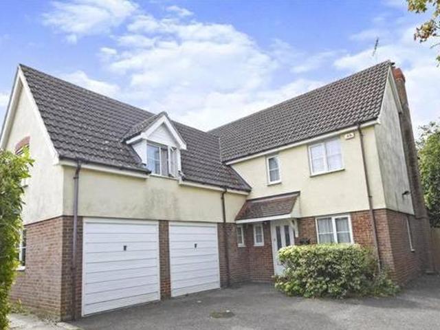 House for rent