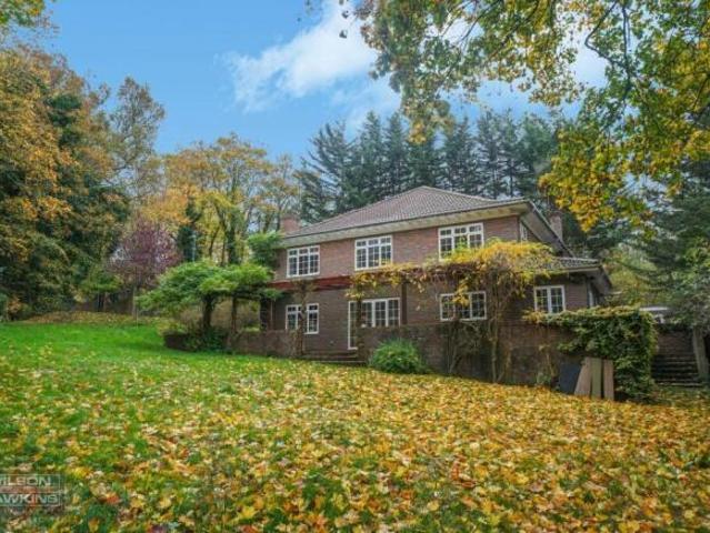 Farm for sale
