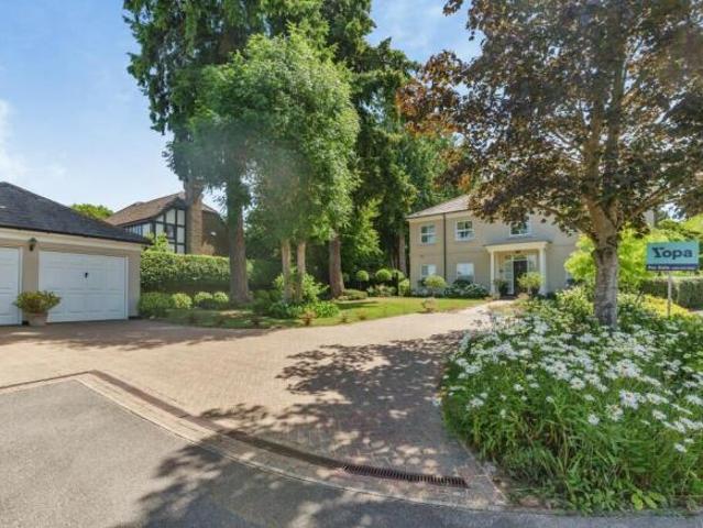 Farm for sale in Sandown Park, Kent