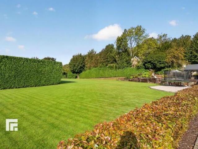 Farm for sale