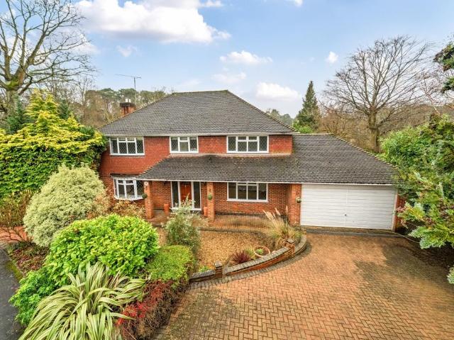 House for rent in Sunninghill and Ascot, Sunninghill