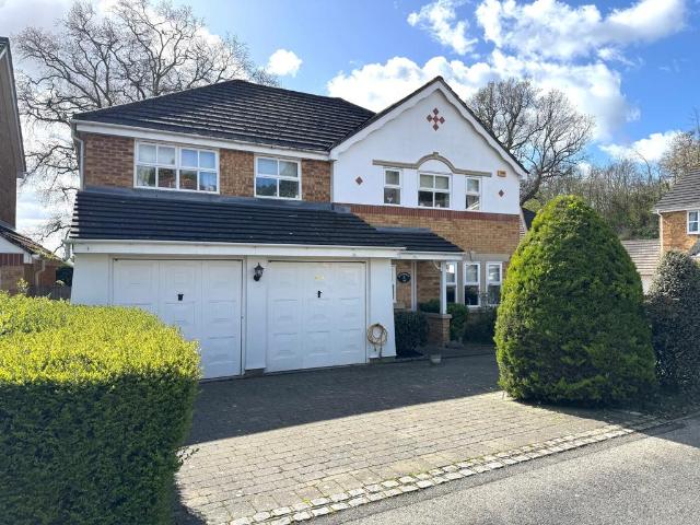 House for rent in Ripley Springs, Row Town