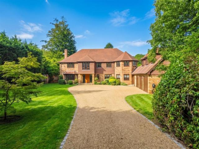 House for rent in Sunninghill and Ascot, South Ascot