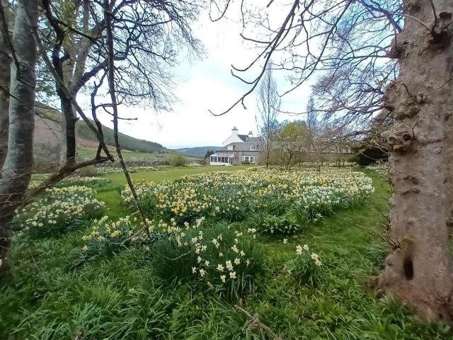 House for rent in Peebles, Scotland
