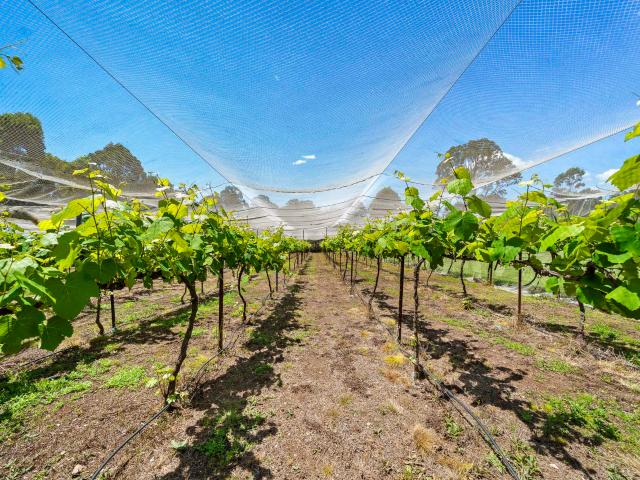 Cottage for sale in Blackbutt, Queensland