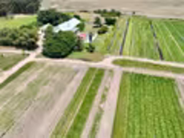 Farm for sale in Pniel, Western Cape
